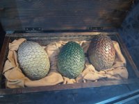 dragon eggs.jpg