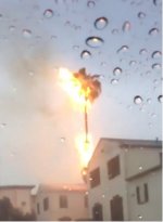 Palm tree on fire.jpg