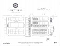 Belvedere Site.jpg