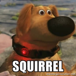 squirrel.png