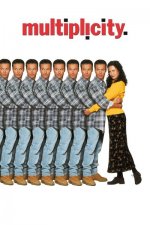 multiplicity.jpg