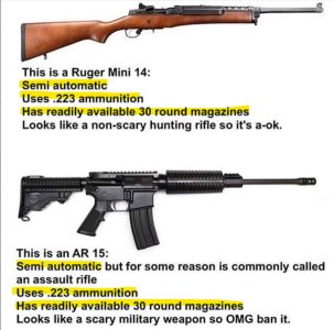 Gun comparison.jpg