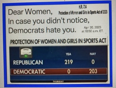 DEMOCRATS HATE WOMEN.jpg