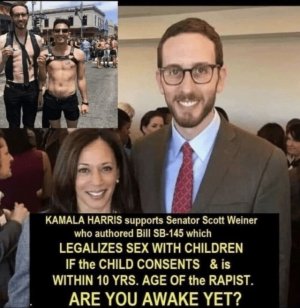 LEGALIZING PEDOPHILIA.jpg